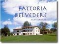 belvedere