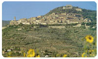 Cortona