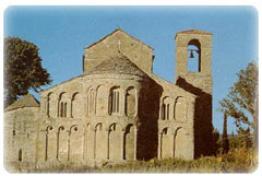 pratovecchio